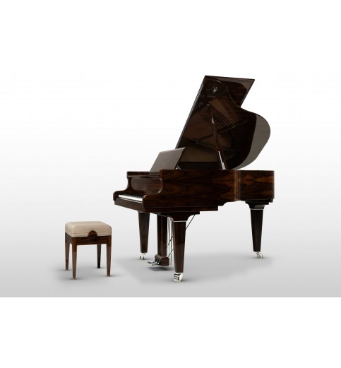Schimmel Classic C169T Ziricote